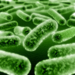 Пробиотиците намаляват инфекциите при децата